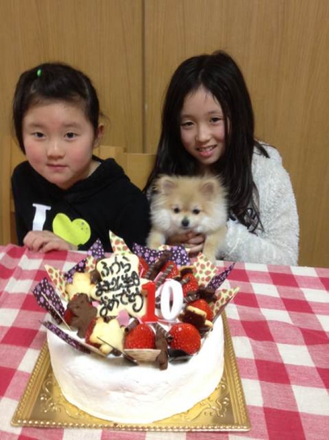 ふうらちゃんお誕生日＼_(^◇^)_／＼(*^^*)／ おめでとうございます♪